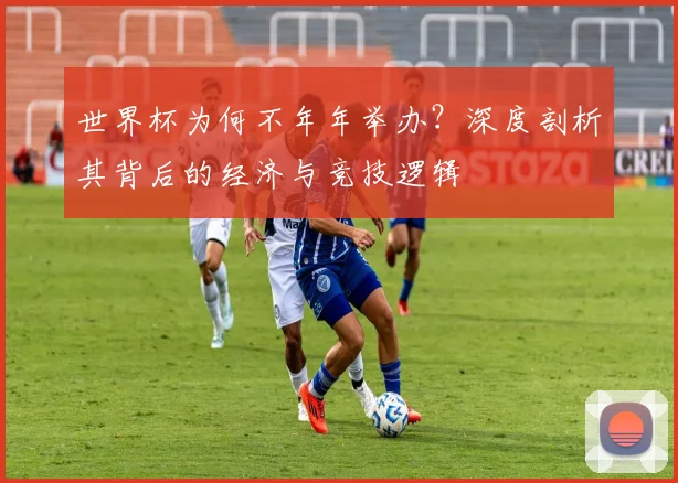 世界杯为何不年年举办？深度剖析其背后的经济与竞技逻辑